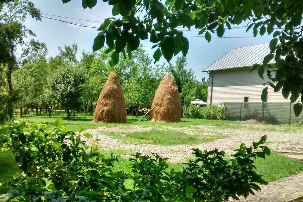 Pensiunea Stefania Brebu Minastirei Buitenkant foto